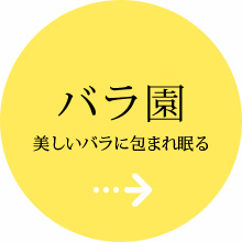 バラ園